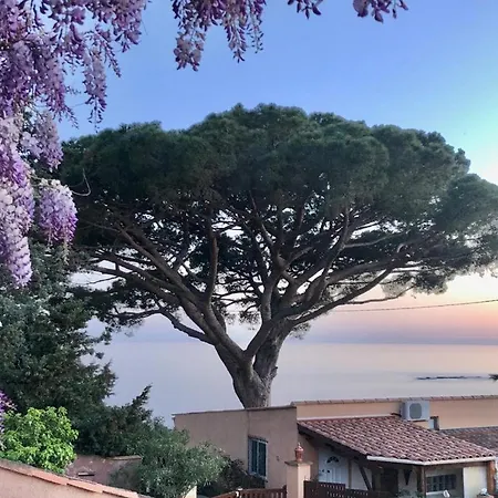 Lilause * Hyères