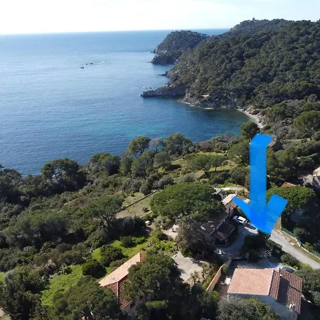 Lilause Hyères