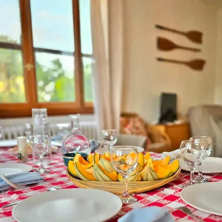 فيلة Lilause Hyères