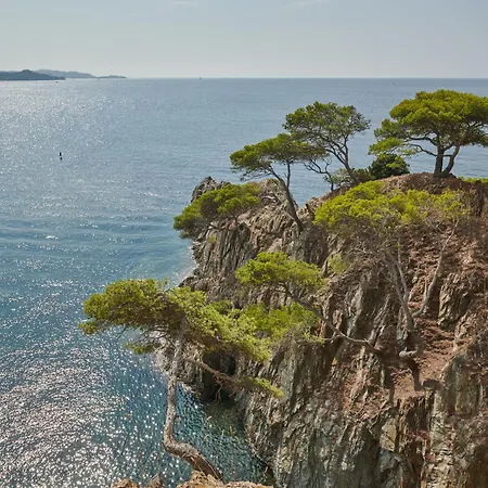 Lilause Hyères