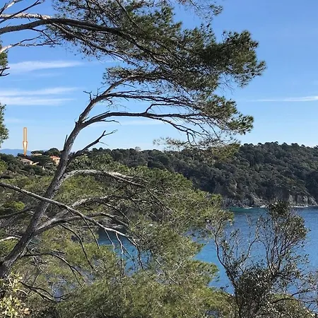 Lilause Hyères