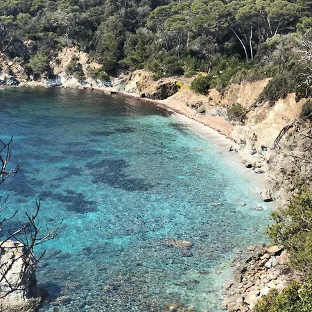 Lilause * Hyères